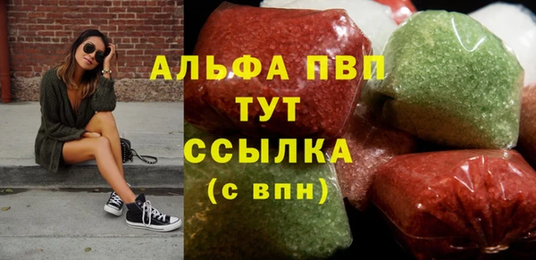 индика Ладушкин